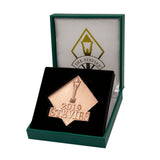 2019 Bronze Stevie Award Medal