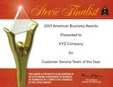 2003-2010 Stevie Award Finalist Certificate
