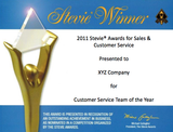 2003-2010 Stevie Award Winner Certificate