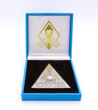 2017 Silver Stevie Award Medal