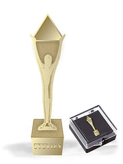 Stevie Award Lapel Pin
