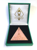 2016 Bronze Stevie Award Medal