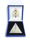 2016 Silver Stevie Award Medal