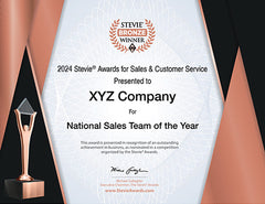Bronze Stevie® Award Certificate
