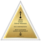 Gold Stevie Clear Plexi Plaque- Triangle