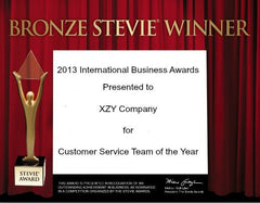 Traditional Bronze Stevie Award Certificate
