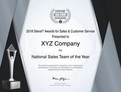 Silver Stevie® Award Certificate for 2021 Middle East & North Africa Stevie Award Winners