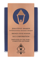 Bronze Stevie Silhouette Wall Plaque for 2021 Middle East & North Africa Stevie Award Winners