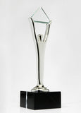 Silver Stevie Award Trophy