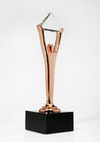 Bronze Stevie Award Trophy