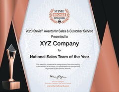 Bronze Stevie® Award Certificate for 2024 German Stevie Award Winners