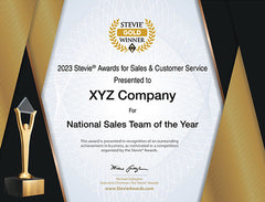 Gold Stevie® Award Certificate for 2024 German Stevie Award Winners